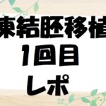 凍結胚移植1回目レポ　移植周期～結果まで