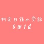 判定日後の受診　9w1d