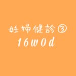 妊婦健診③　16w0d