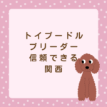 <span class="title">信頼できる関西のトイプードルブリーダー｜CoCo de LuLu（株式会社ＲＩＴＡＩＧＡ＆Ｄ）徹底紹介</span>