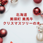 北海道 美瑛町 美馬牛のクリスマスツリーの木｜行き方・写真・ツアー情報2025