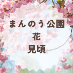 まんのう公園の花見頃はいつ？月別ガイドまとめ