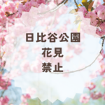 日比谷公園の花見禁止は本当？宴会ルールと楽しみ方まとめ
