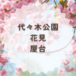 代々木公園花見に屋台はある？楽しみ方まとめ