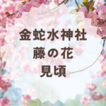 金蛇水神社の藤の花見頃はいつ？見どころ総まとめ