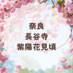 奈良長谷寺の紫陽花見頃2026と楽しみ方まとめ