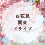 お花見で関東をドライブする時のおすすめ桜名所まとめ