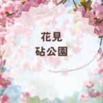 花見で砧公園はおすすめ？見頃とルールまとめ